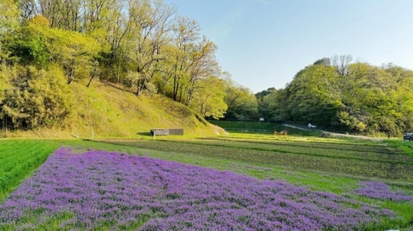 寺家ふるさと村の風景１
